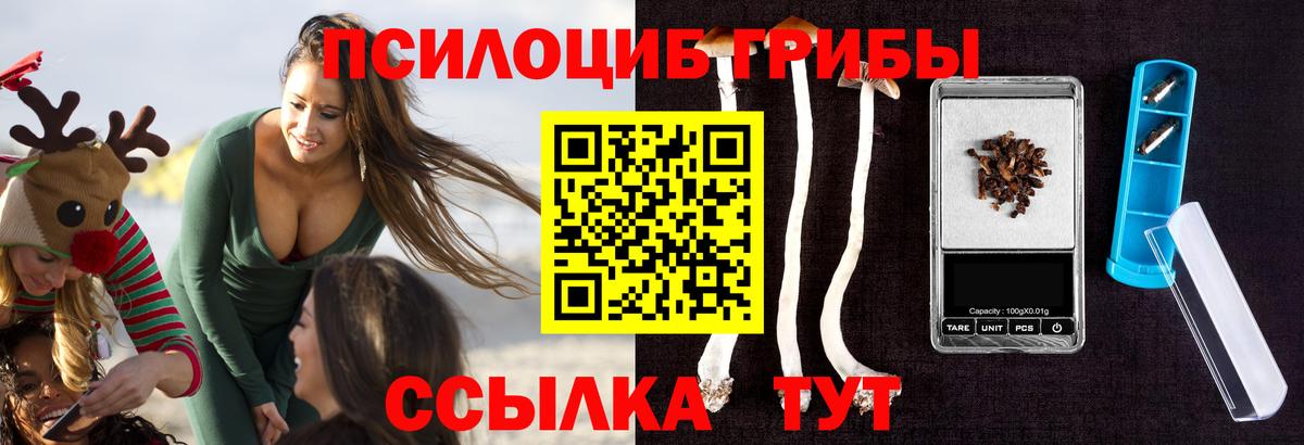 Галлюциногенные грибы Magic Shrooms Красногорск